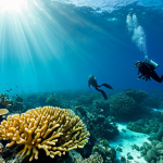 **

"A vibrant coral reef teeming with diverse fish species in the Solomon Islands marine reserve, clear turquoise water, sunlight filtering through the surface, fully clothed scuba divers exploring in the background, safe for work, appropriate content, family-friendly, perfect anatomy, correct proportions, natural pose, professional underwater photography, high quality, modest."

**