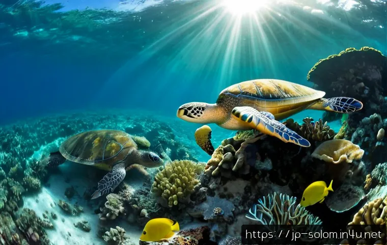 솔로몬 제도 해양 생태계 - Photorealistic underwater view of a thriving Solomon Islands coral reef, colorful hard corals and se...